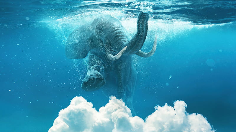 Elephant Under Water Manipulation , elephant, manipulation, artist, artwork, digital-art, HD wallpaper