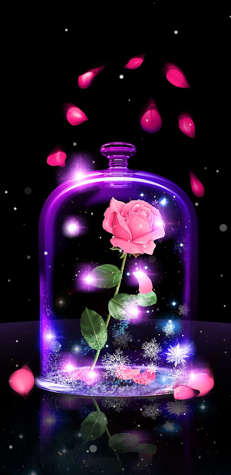 Beauty Or Beast, flower, girly, pink, pretty, purple, rose, rose petals, sparkle, HD phone wallpaper