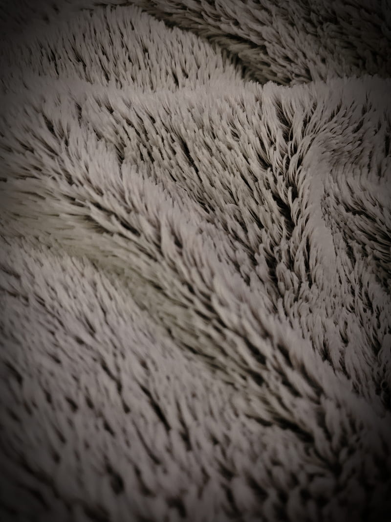 Faux Fur Blanket, cosy, fluffy, gray, soft, texture, white, winter, HD phone wallpaper