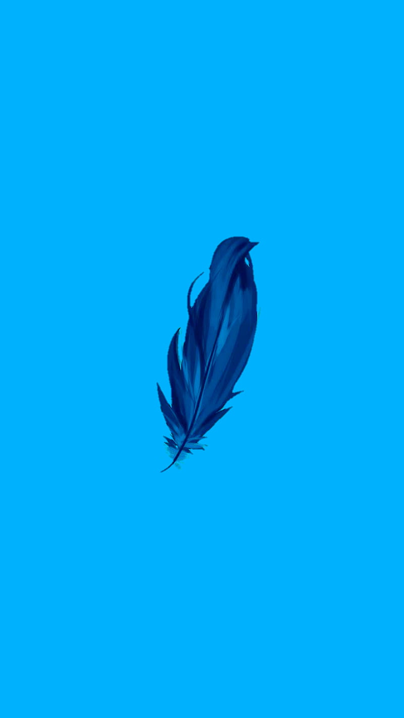 feather, plume, HD phone wallpaper