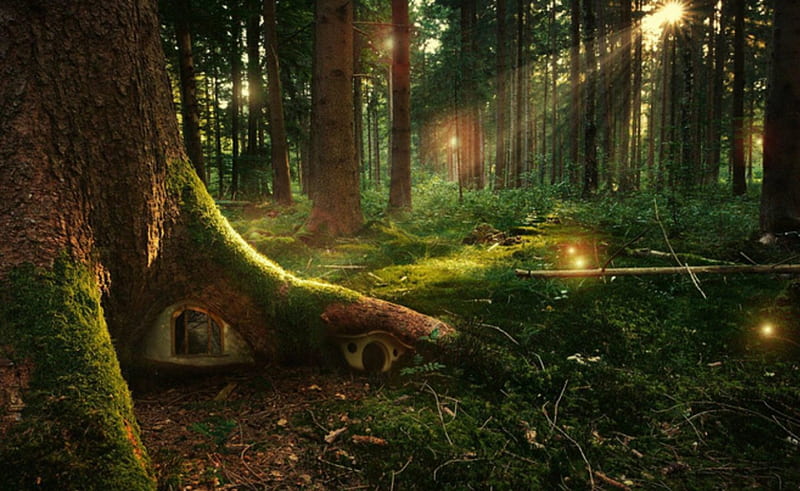 Fantasy Forest, forest, land, fantasy, trees, HD wallpaper