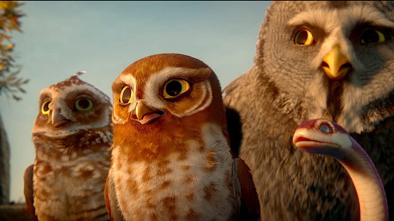 Legend of the Guardians-The Owls of GaHoole movie 26, HD wallpaper