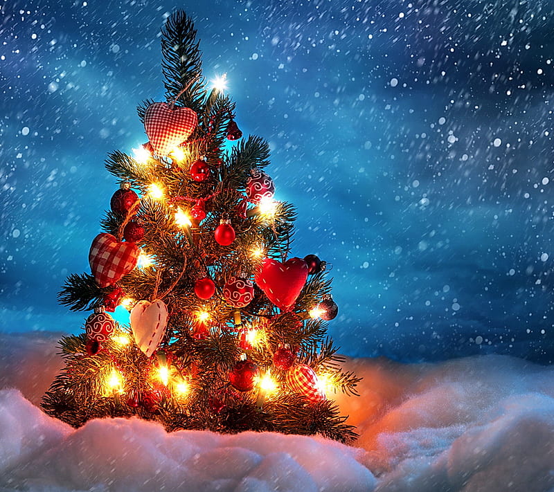 Christmas Tree, night, snow, winter, HD wallpaper