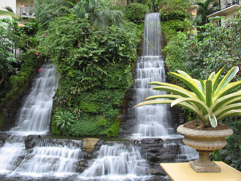 Waterfall, vegetation, nature, plant, HD wallpaper