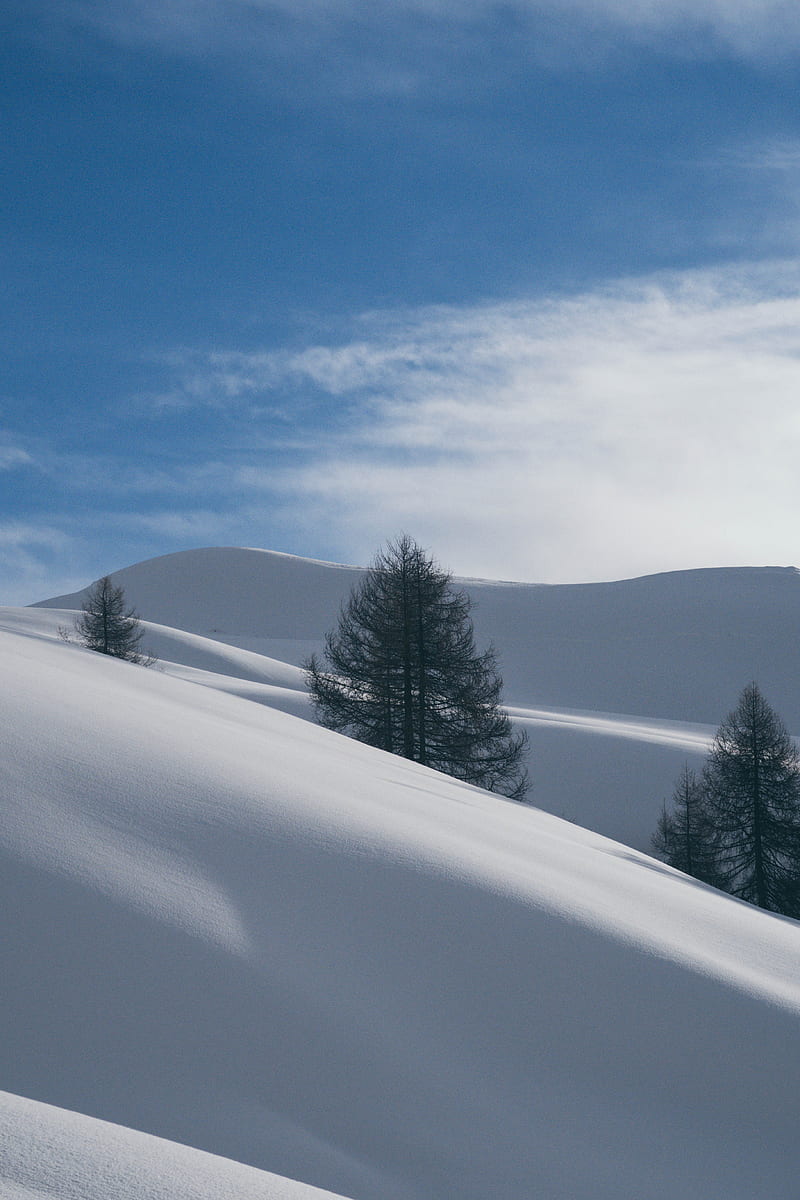 snow covered land under blue sky, HD phone wallpaper