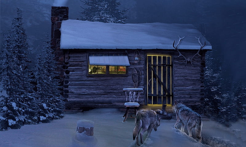 Winter Night Visitors, snow, cabin, wolves, animals, Winter, night, cold, Darkness, visitors, evening, HD wallpaper