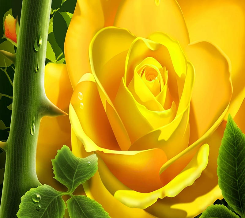 3D Yellow Rose, look, nice, HD wallpaper | Peakpx