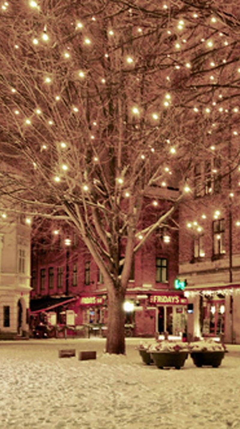 Christmas Lights, city, snow, tree, HD phone wallpaper