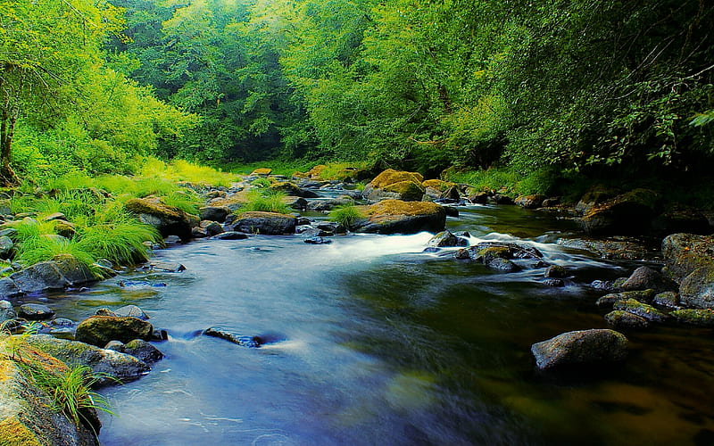 Oregon Nestucca River, oregon, river, nestucca, HD wallpaper | Peakpx