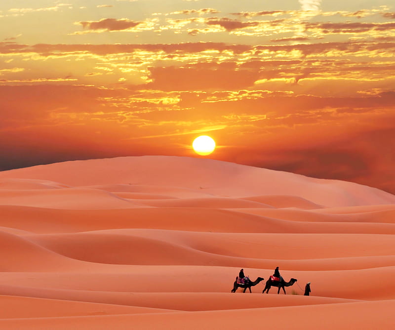 Desert Sun Set, meem, rubab, HD wallpaper