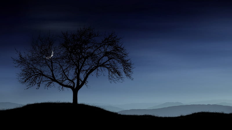 quarter moon peeking through a tree at night, hills, tree, moon, silhouettes, night, HD wallpaper