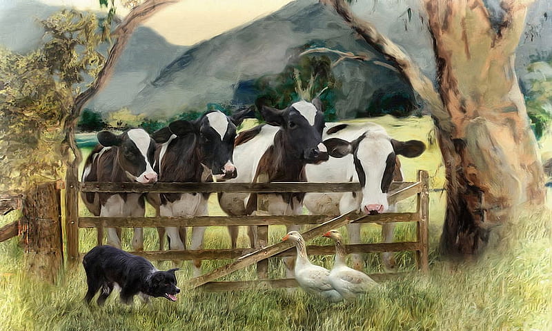 Farm Characters, outdoors, cows, fence, painting, country, Pasture, animals, HD wallpaper