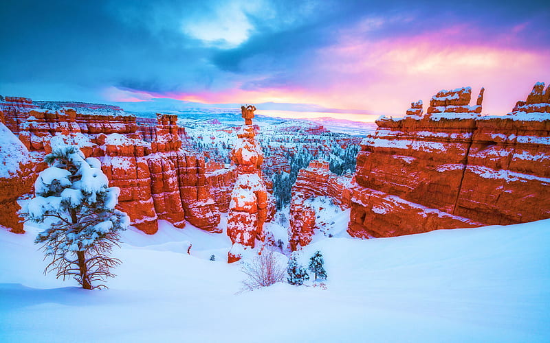 Winter Wonderland in Bryce Canyon, Utah, rocks, usa, snow, mountains, colors, sunset, clouds, sky, HD wallpaper