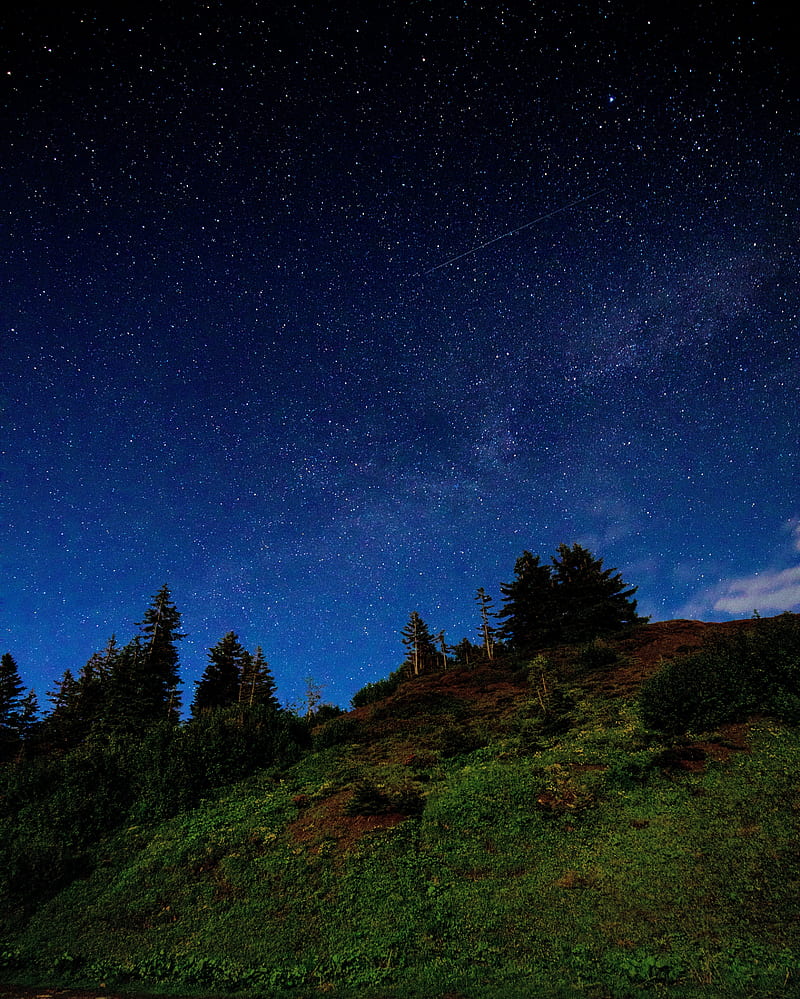 hill, trees, starry sky, stars, night, dark, HD phone wallpaper