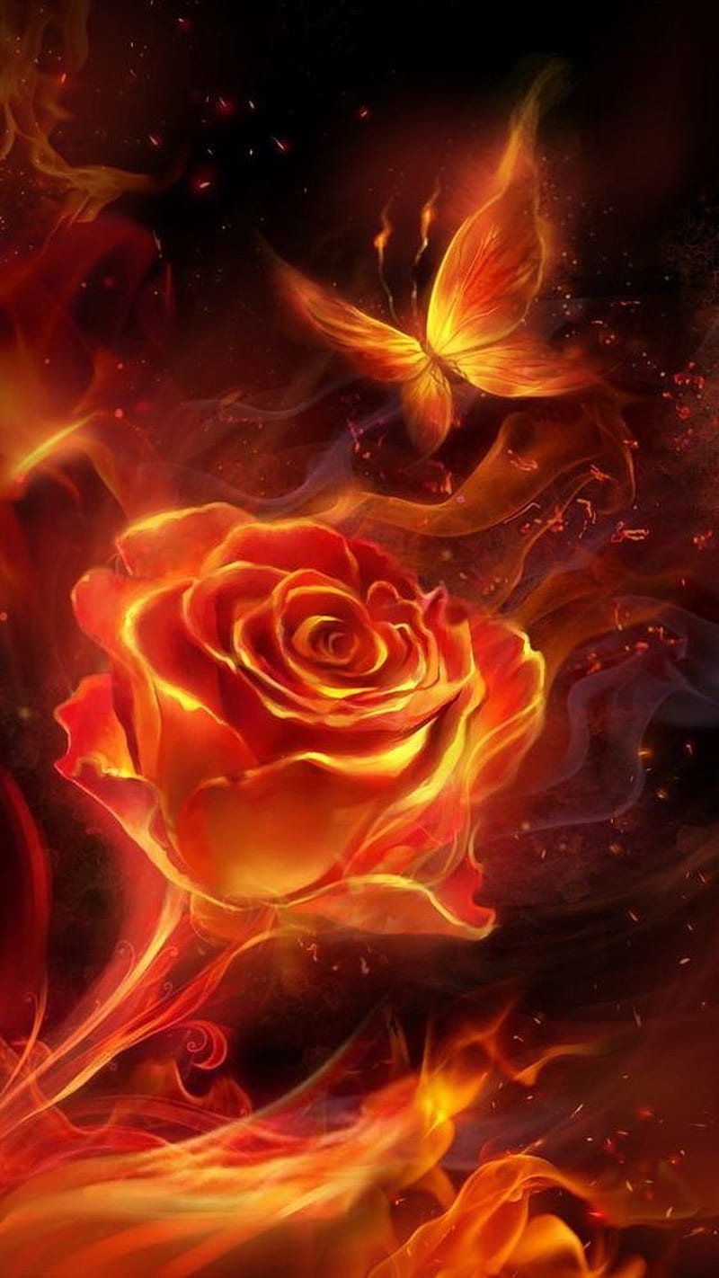 Butterfly rose, fire, flowers, HD phone wallpaper