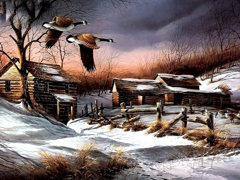 CANADIAN GEESE 6, farm, geese, fense, winter, HD wallpaper