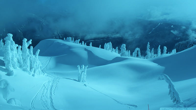 Winter Evening, monochromatic, snow, nature, white, drift, blue, night, Winter, HD wallpaper