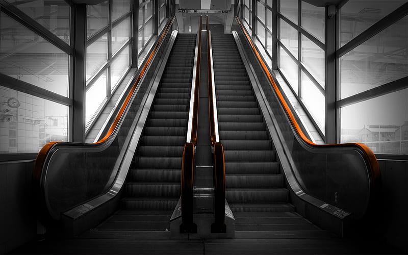 escalators, up and down, people mover, croc eater, HD wallpaper