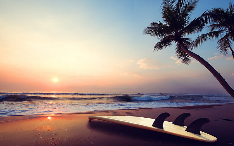 ocean, beach, palm tree, surfboard, palm trees, tropical island, summer, HD wallpaper