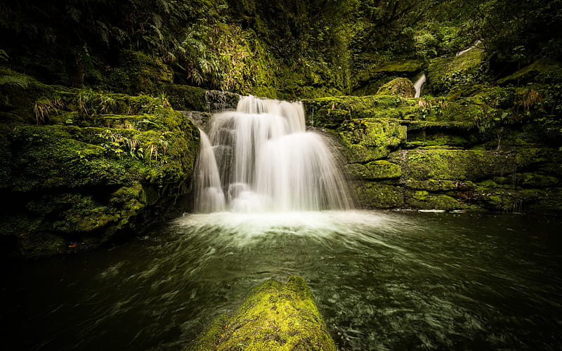 Lower McLean Falls, lake, waterfall, jungle, forest, Tautuku River, New Zealand, HD wallpaper