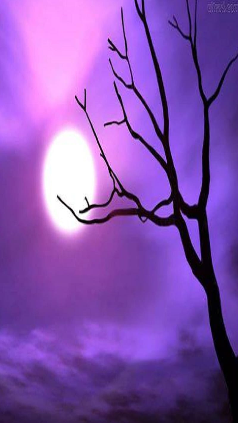 Night, mooon, tree, HD phone wallpaper | Peakpx