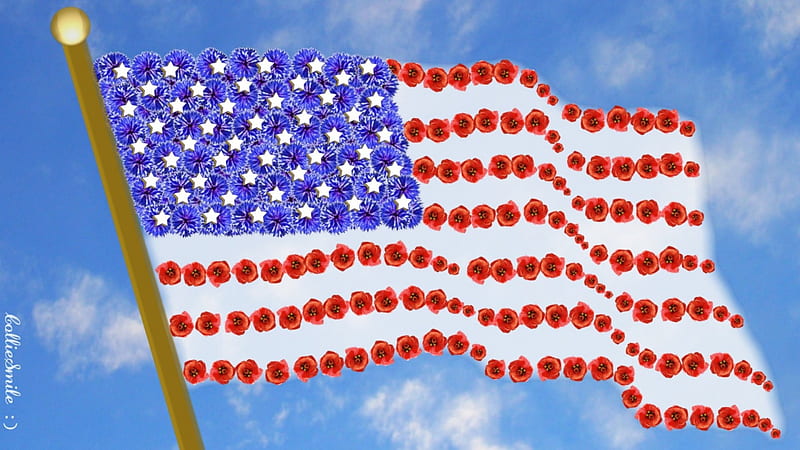Veterans Day Flag Banner Decoration Veteran Poppy Remembrance Military War 