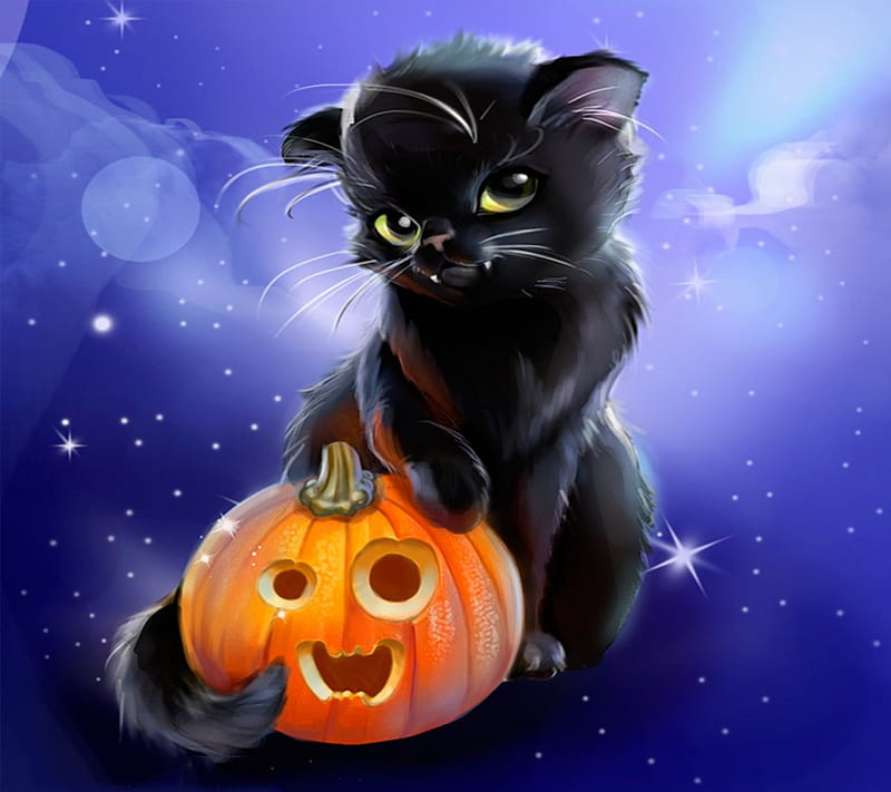 Cute Halloween CAt, pretty, art, orange, halloween, black, cat, abstract, sweet, cute, purple, pumpkin, HD wallpaper