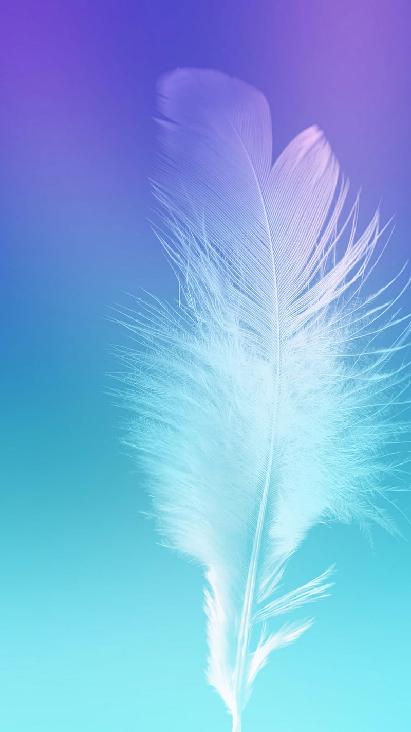 Feathers, galaxy, quill, beauty, HD phone wallpaper