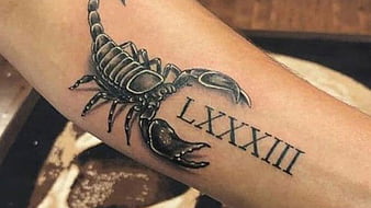 62 Wonderful Scorpion Tattoos For Arm