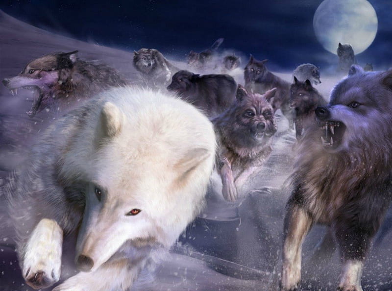 Wolves or..., art, run, animal, winter, fantasy, moon, painting, pursuit, werewolf, wolf, white, fur, red eyes, dog, blue, night, HD wallpaper
