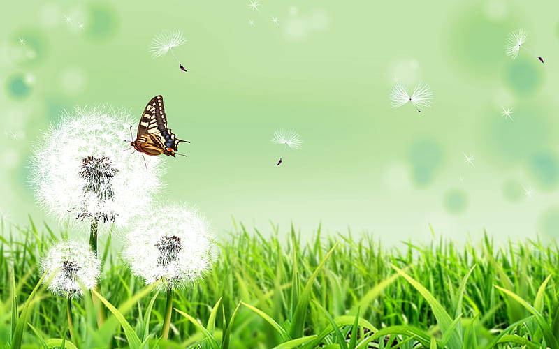 Butterfly And Dandelion, dandelion, fantasy, green, grass, nature, butterflies, abstract, HD wallpaper