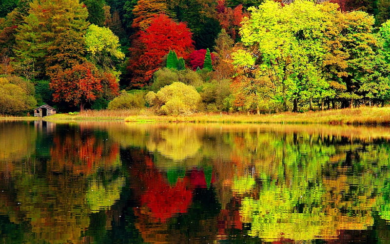 Autumn reflections, forest, colorful, autumn, river, bonito, reflection ...