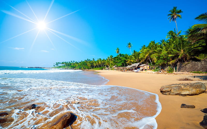 sea, tropical island, the Caribbean islands, beach, sand, palm trees, Caribbean, HD wallpaper