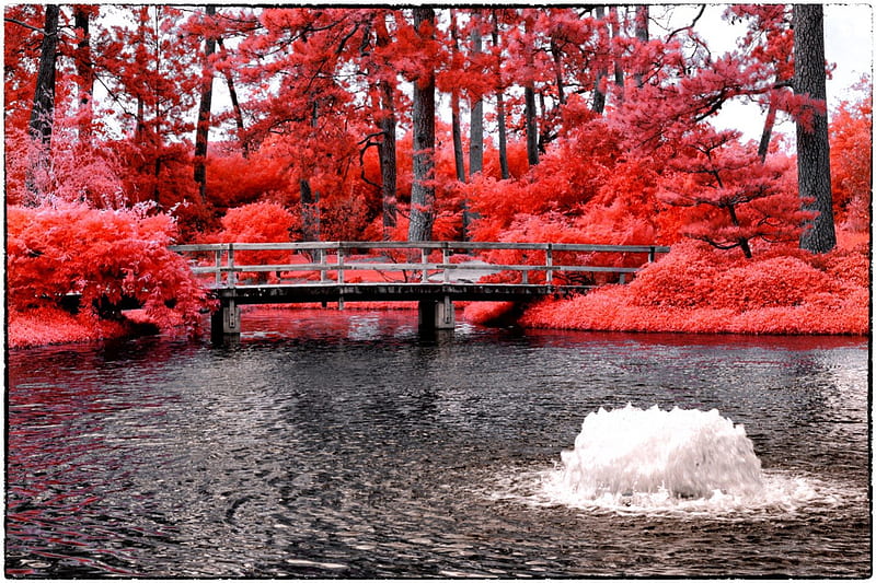 ☀Red Bridge in Summer☀, wonderful, shade, clouds, splendor, bright, sky, sprawl, trees, water, cool, garden, landscape, red, colorful, Summer, splendid, bonito, seasons, graphy, leaves, waterscapes, parks, bridge, magnificent, light, amazing, lakes, intense, colors, pop up, plants, nature, reflections, HD wallpaper