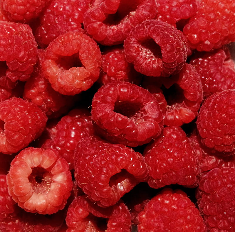 raspberries, berries, fresh, ripe, red, HD wallpaper