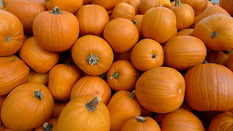 PUMPKINS, pumpkin carving, orange, halloween, crop, HD wallpaper