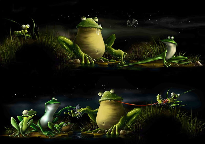 FUNNY HA HA HA, frogs, tease, funny, mean, HD wallpaper | Peakpx