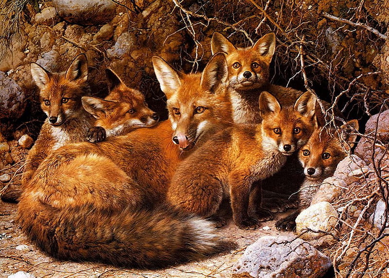 Fox Family, fox burrow, painting, mother, artwork, pups, HD wallpaper