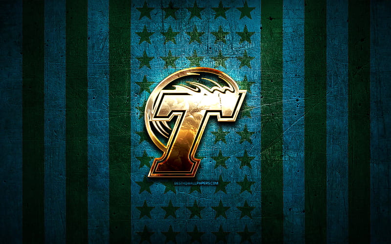 Tulane Green Wave flag, NCAA, blue black metal background, american football team, Tulane Green Wave logo, USA, american football, golden logo, Tulane Green Wave, HD wallpaper