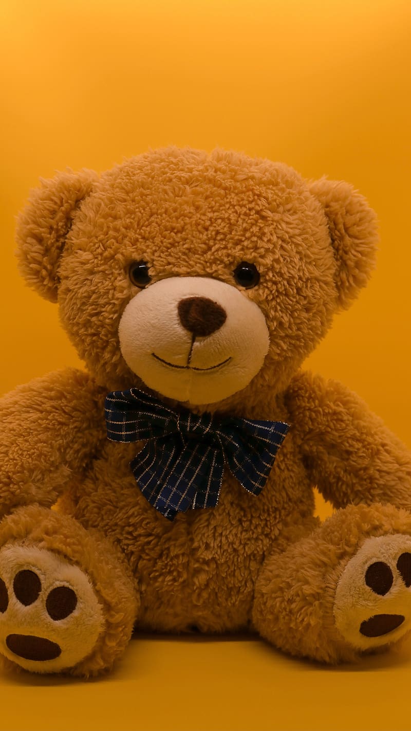 Big Teddy Bear, Cute, HD phone wallpaper