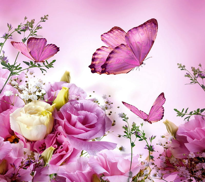 Flowers and butterflies, pink butterflies, flowers, beauty, nature, pink roses, pink scenery, HD wallpaper