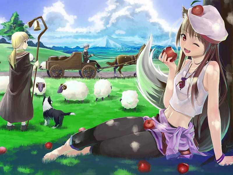 Shepherd, sheep, girl, anime, apples, wolf, wood, HD wallpaper | Peakpx