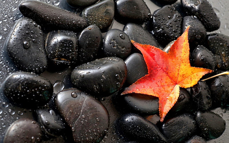 Black stones and autumn leaf, pretty, fall, drope, wet, autumn, lovely, black, bonito, lonely, foliage, leaf, stones, nice, water, spa, HD wallpaper