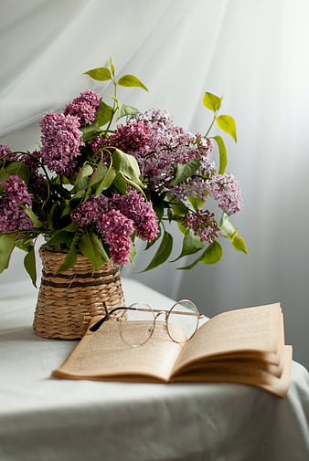 wallpaper for desktop, laptop  ni24-book-read-time-flower-flare-purple