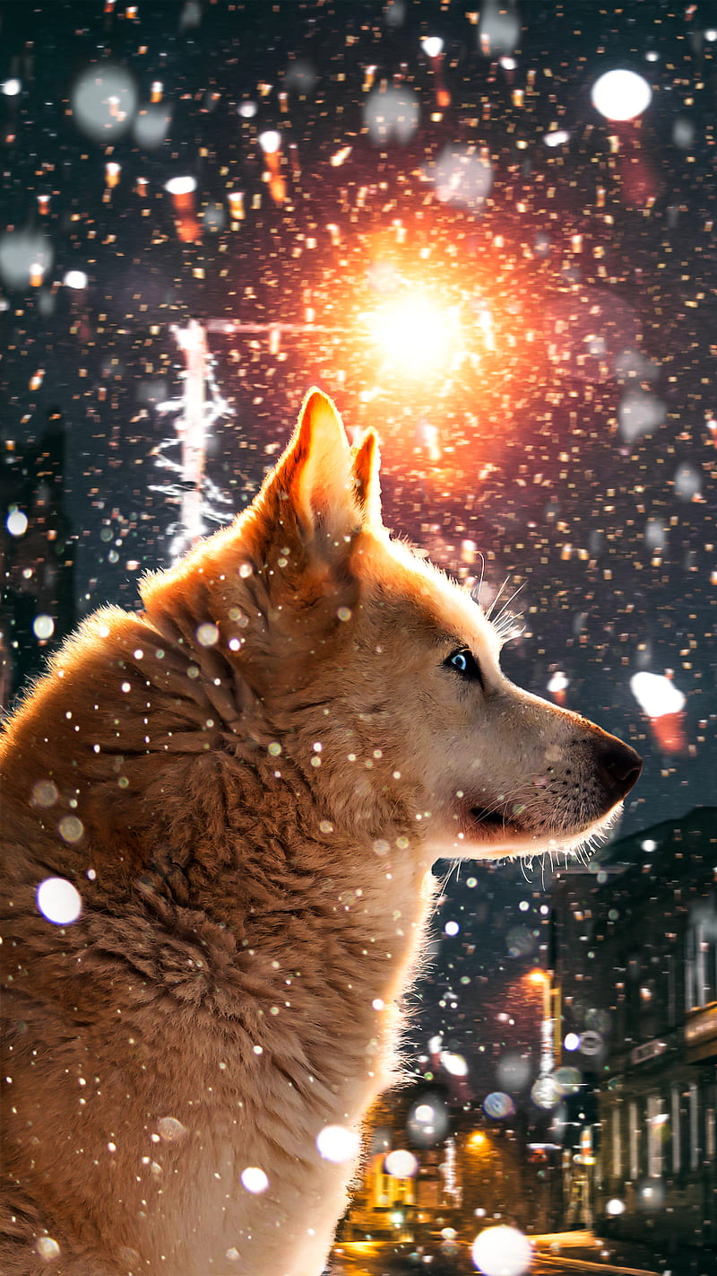 WOLF, SHERIF, animal, building, cold, dog, lamp, light, snow, street, HD phone wallpaper