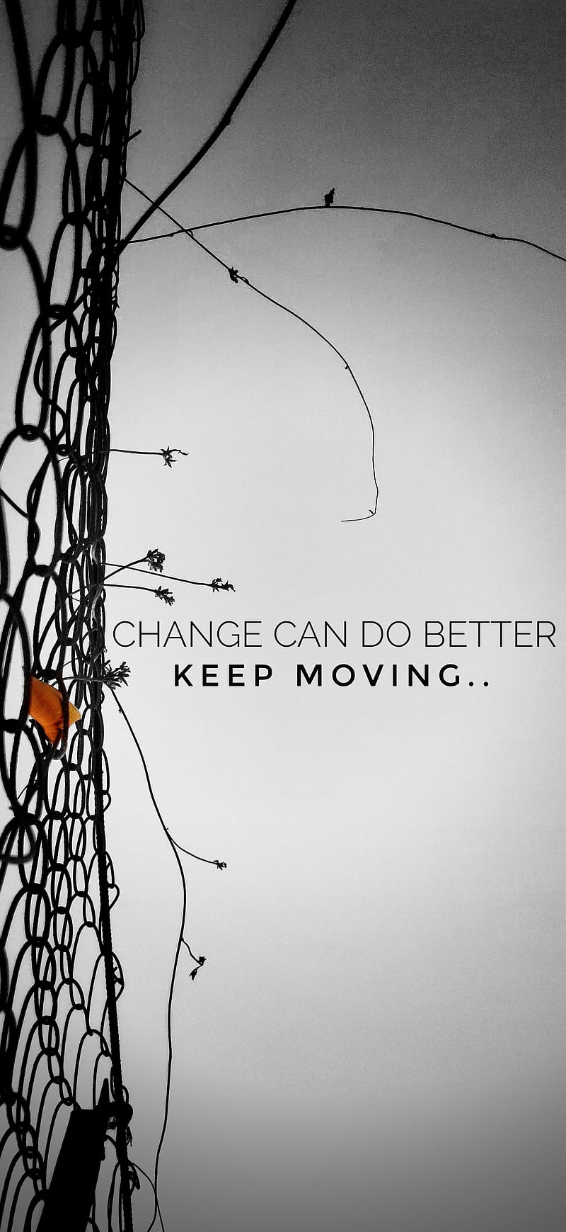 Wallpaper Keep moving forward  Quotes about moving on Keep moving forward  quotes Moving forward quotes