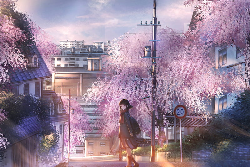 anime landscape, anime school girl, buildings, sakura blossom, Anime, HD wallpaper