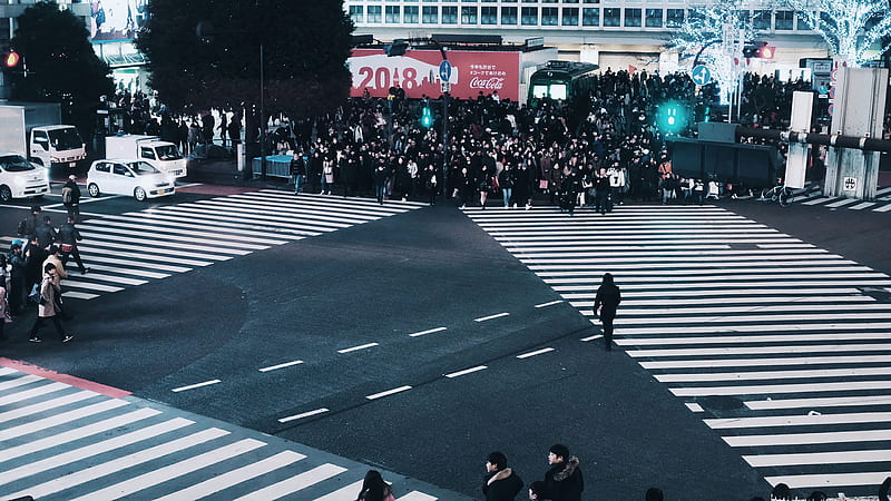 people walking while crossing pedestrian lane, HD wallpaper