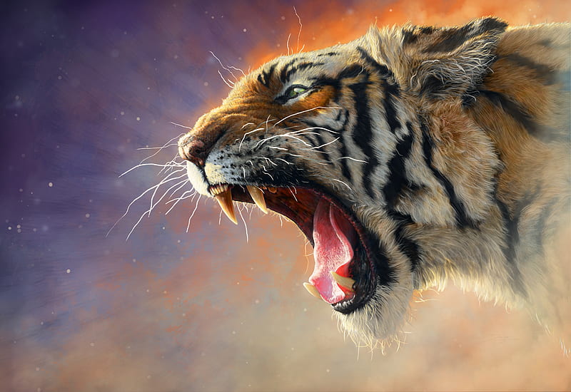 Fear Me, tiger, artwork, , animals, HD wallpaper