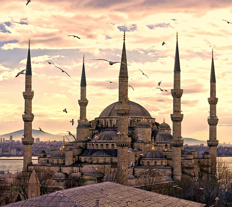 islam cami mosque, allah, dini, islamic, istanbul, turkey, HD wallpaper